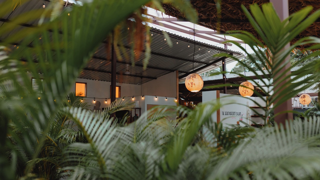 Photo of Outdoor in Puerto Viejo de Talamanca
