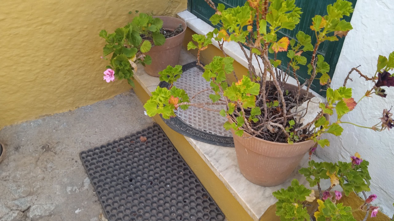 Photo of Outdoor in Evora
