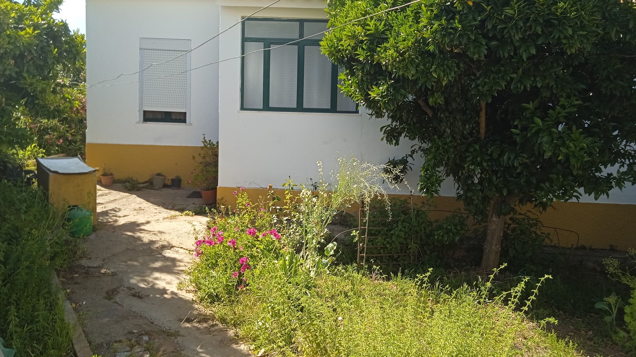 Photo of Outdoor in Evora