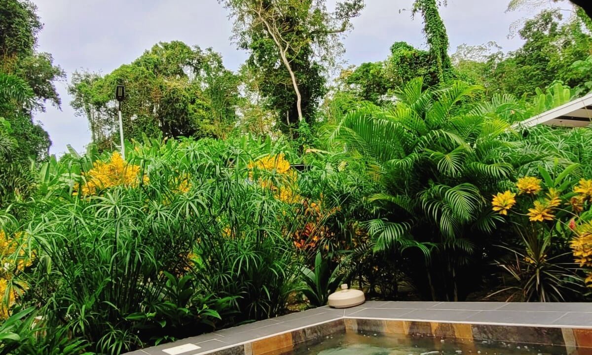 Photo of Outdoor in Cocles