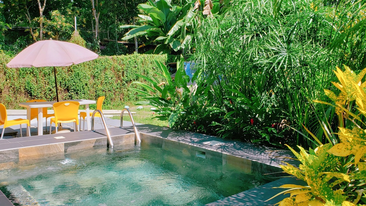 Photo of Outdoor in Cocles