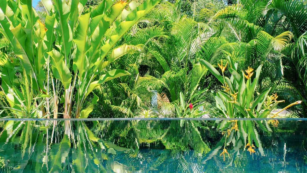 Photo of Outdoor in Cocles