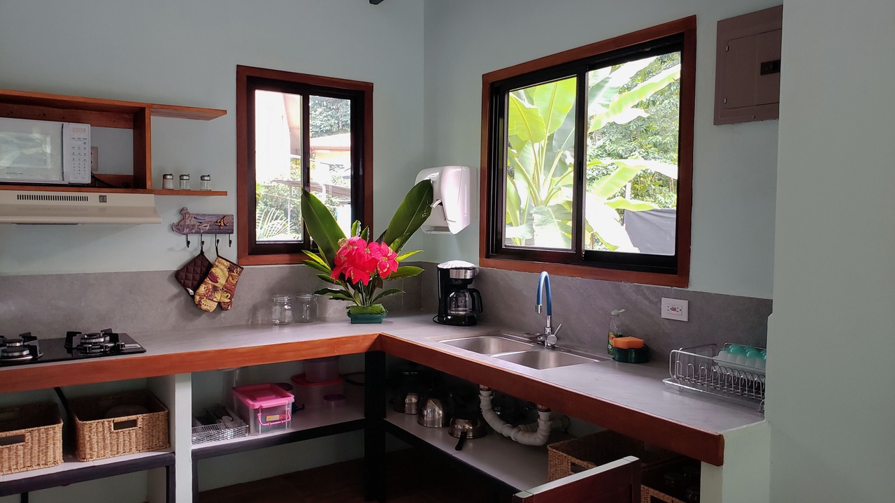Photo of Kitchen in Cocles