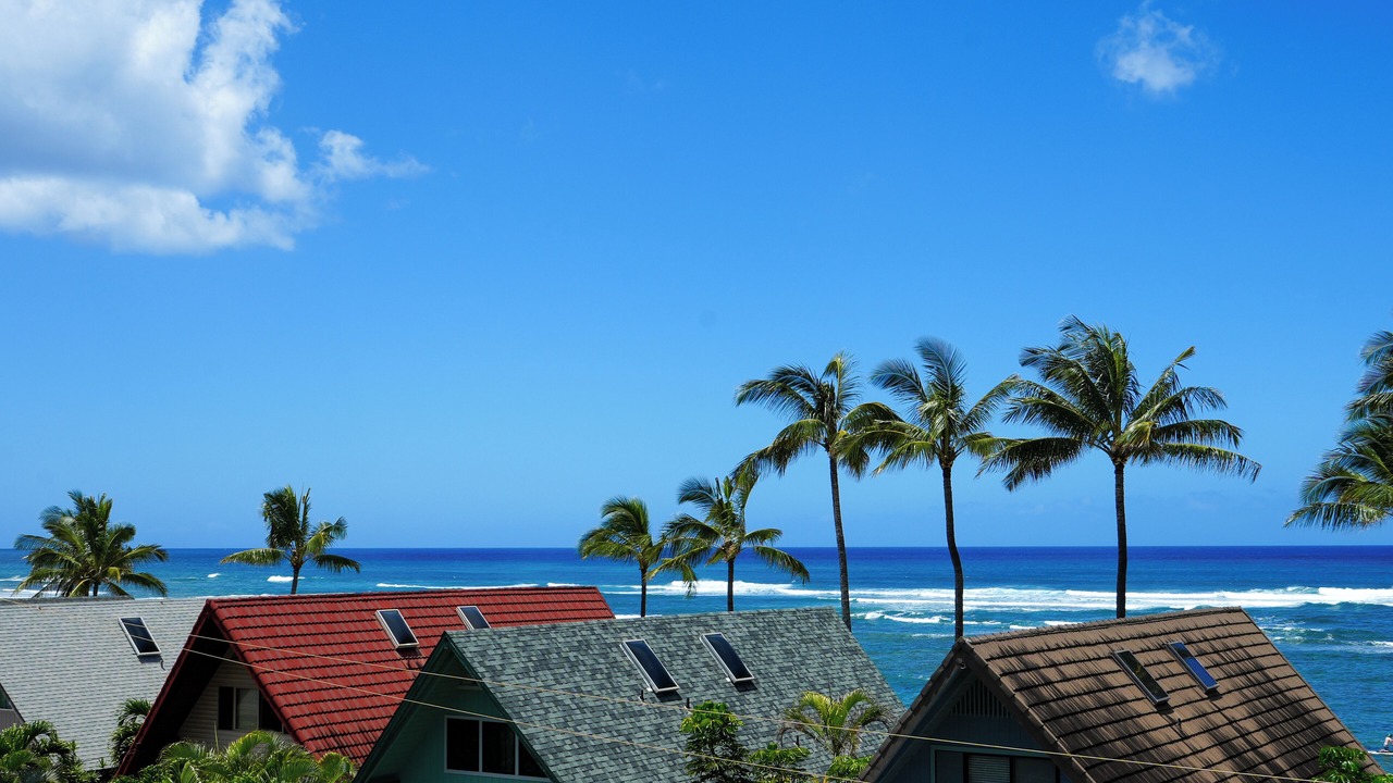 Photo of Outdoor in Mokuleia