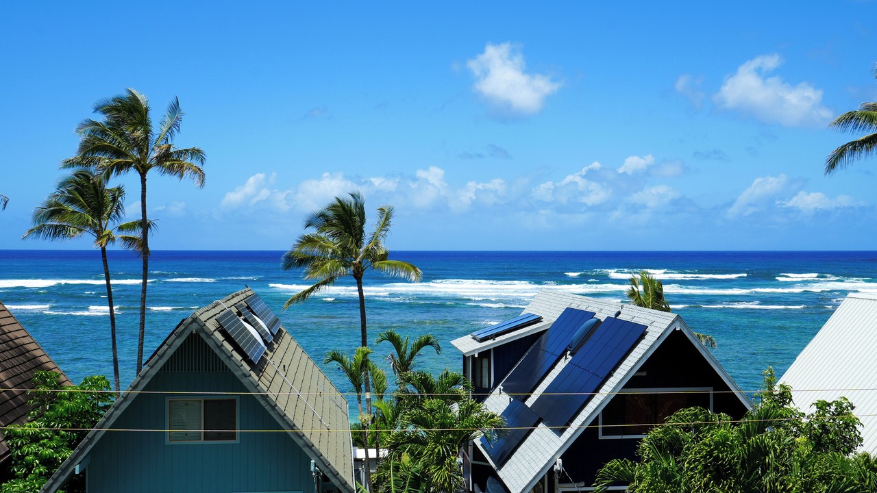 Photo of Others in Mokuleia