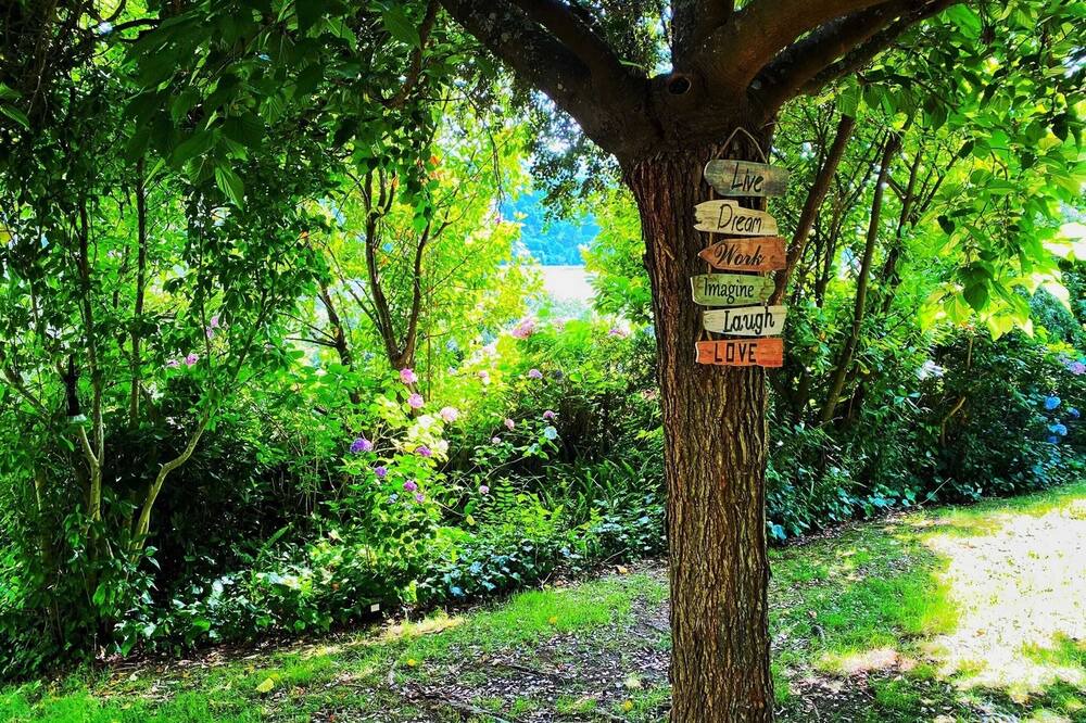Photo of Outdoor in Santa Cruz do Douro