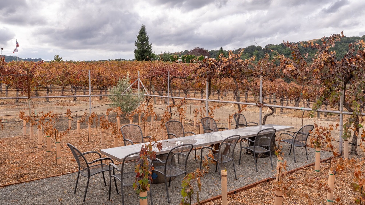 Photo of Outdoor in Paso Robles Wine Country