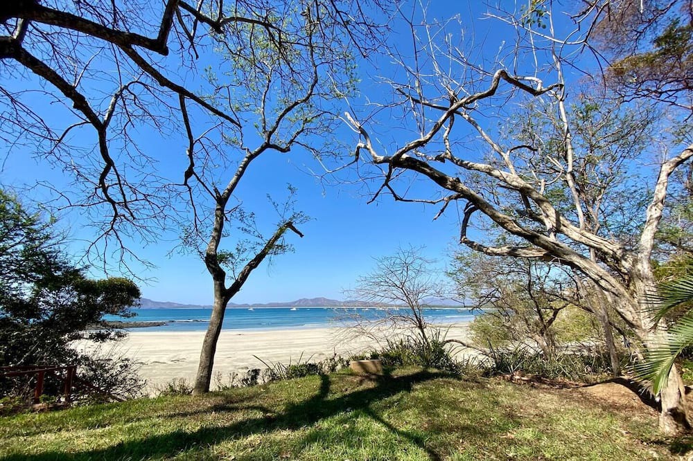 Photo of Others in Playa Langosta