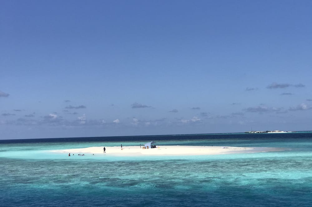 Photo of Others in Dharavandhoo