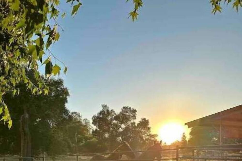 Photo of Outdoor in Sanger