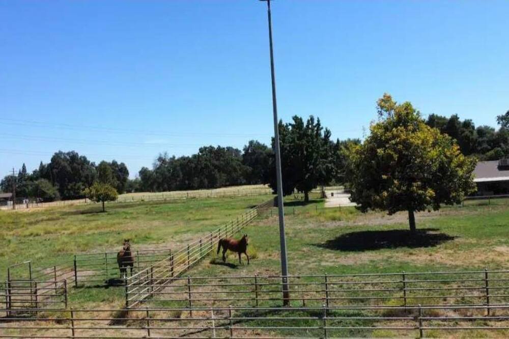 Photo of Others in Sanger