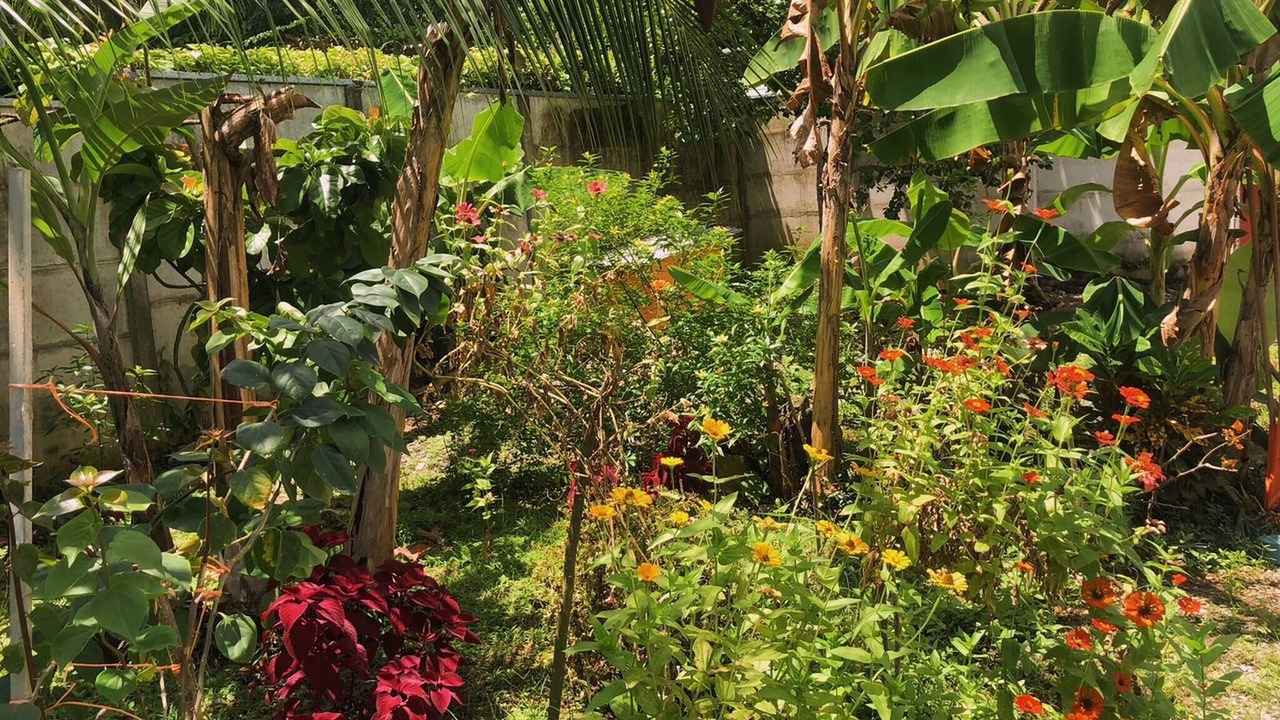 Photo of Outdoor in Cahuita