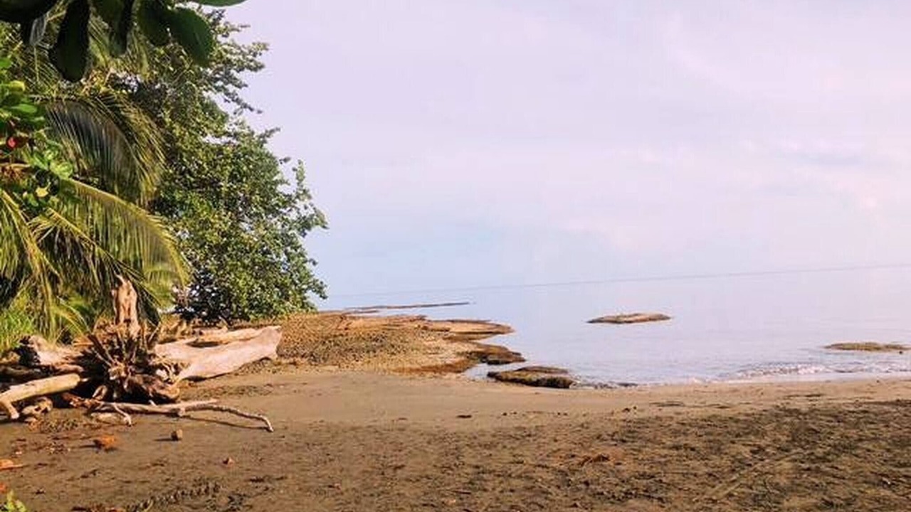 Photo of Others in Cahuita