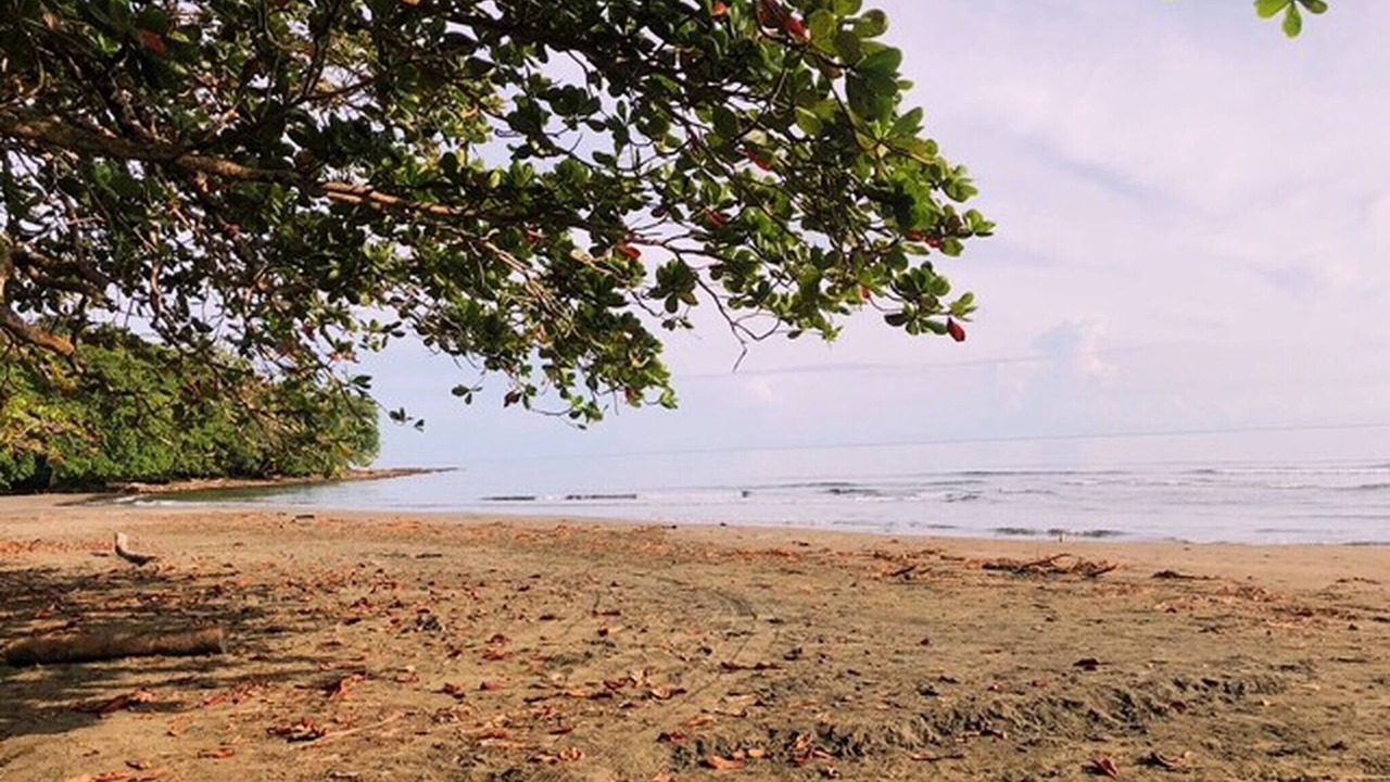 Photo of Others in Cahuita