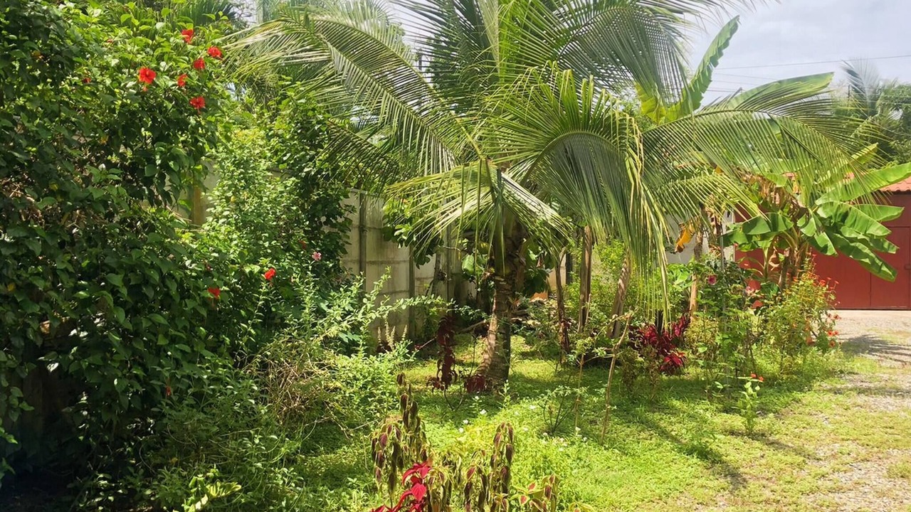 Photo of Outdoor in Cahuita