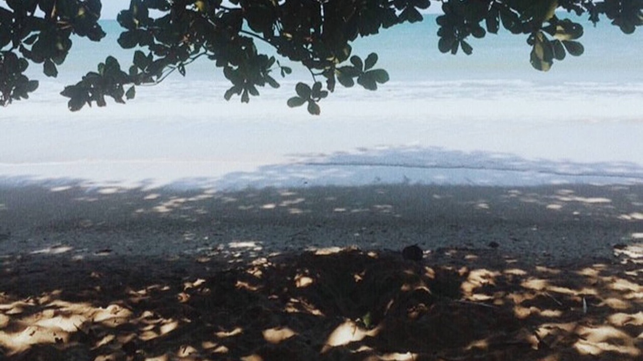 Photo of Others in Cahuita