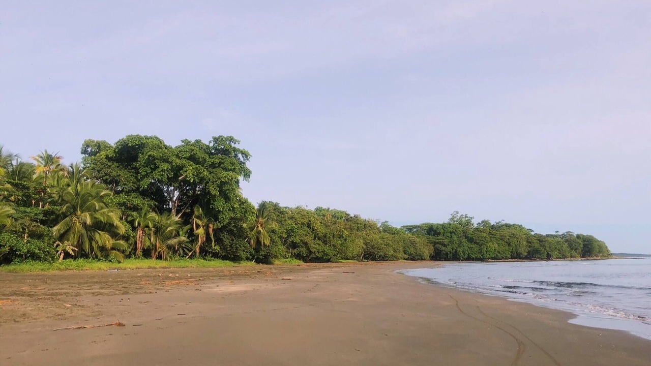 Photo of Others in Cahuita