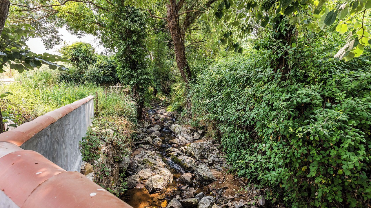 Photo of Outdoor in Montemor-o-Novo