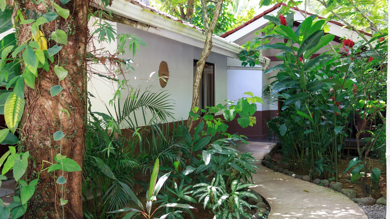 Photo of Outdoor in Cocles