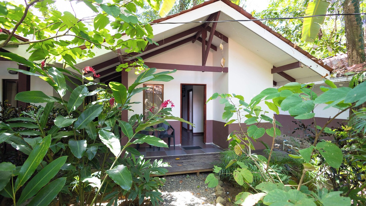 Photo of Outdoor in Cocles