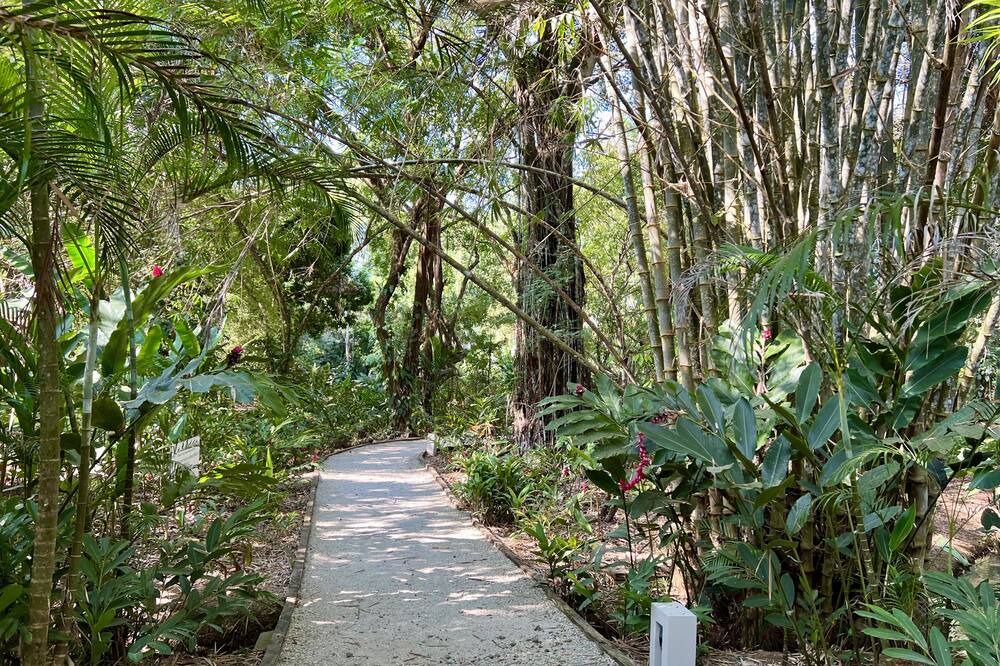 Photo of Outdoor in Uvita