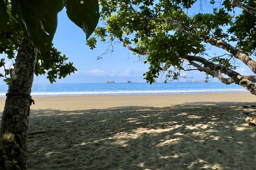 Photo of Others in Uvita