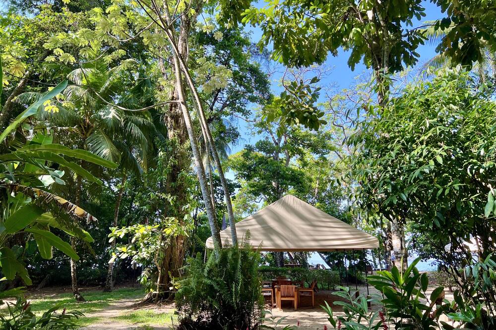 Photo of Outdoor in Uvita