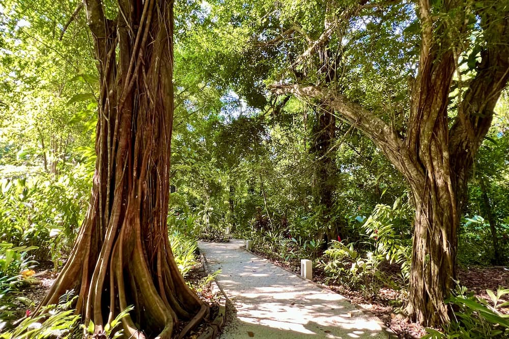 Photo of Outdoor in Uvita