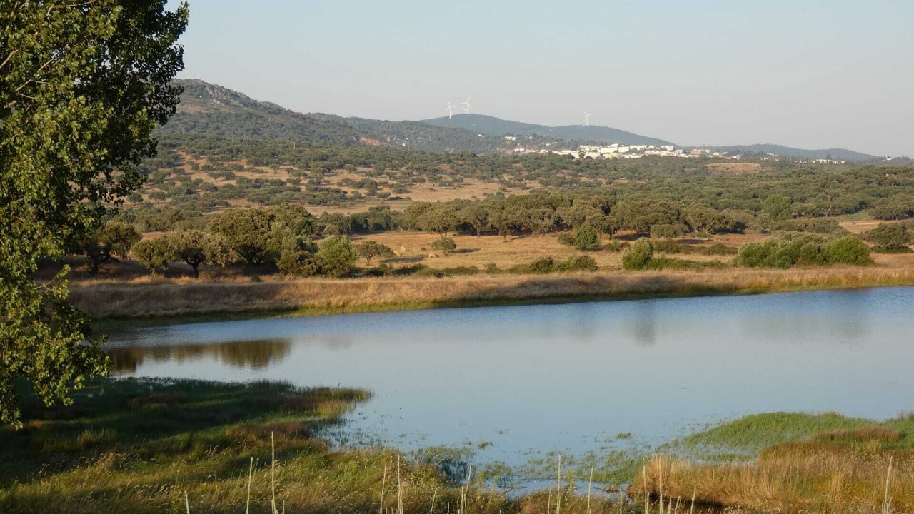 Photo of Outdoor in Fortios