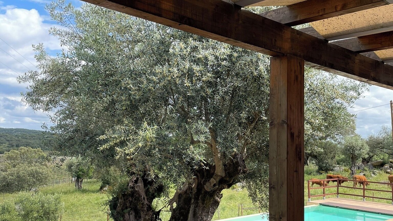 Photo of Outdoor in Fortios