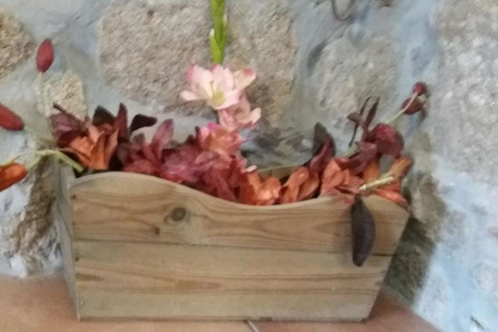 Photo of Others in Oliveira de Frades