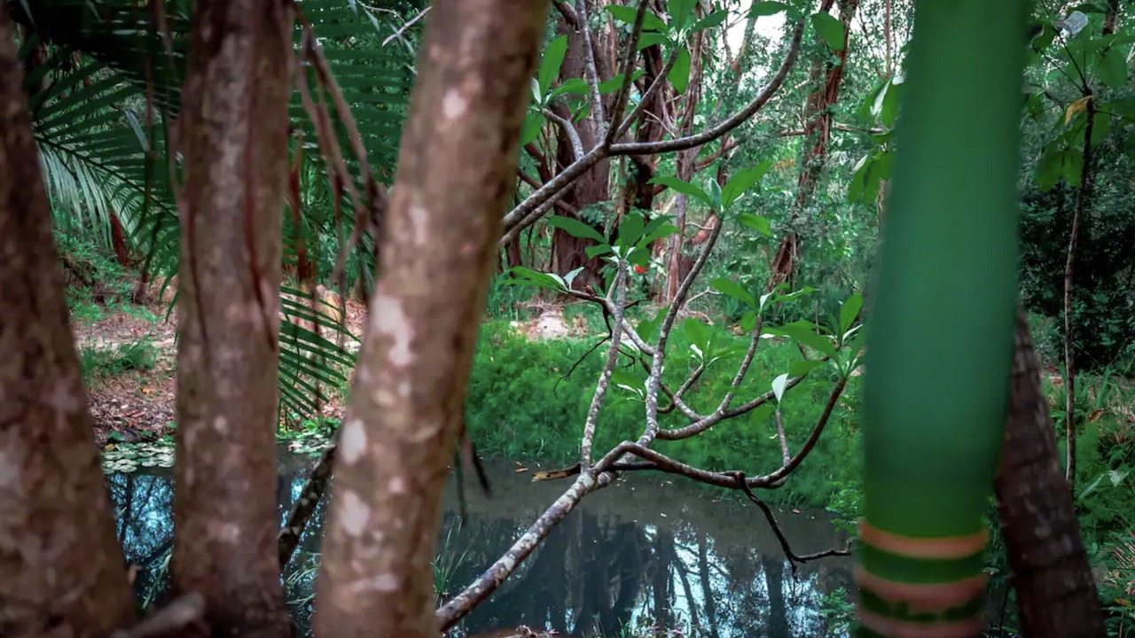 Photo of Others in Mudgeeraba