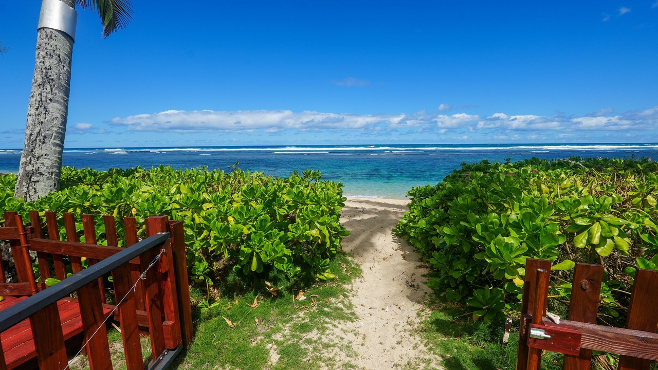 Photo of Outdoor in Mokuleia