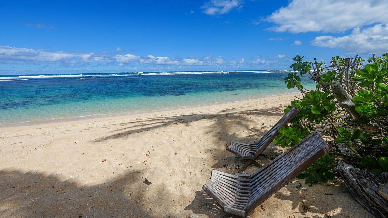 Photo of Others in Mokuleia