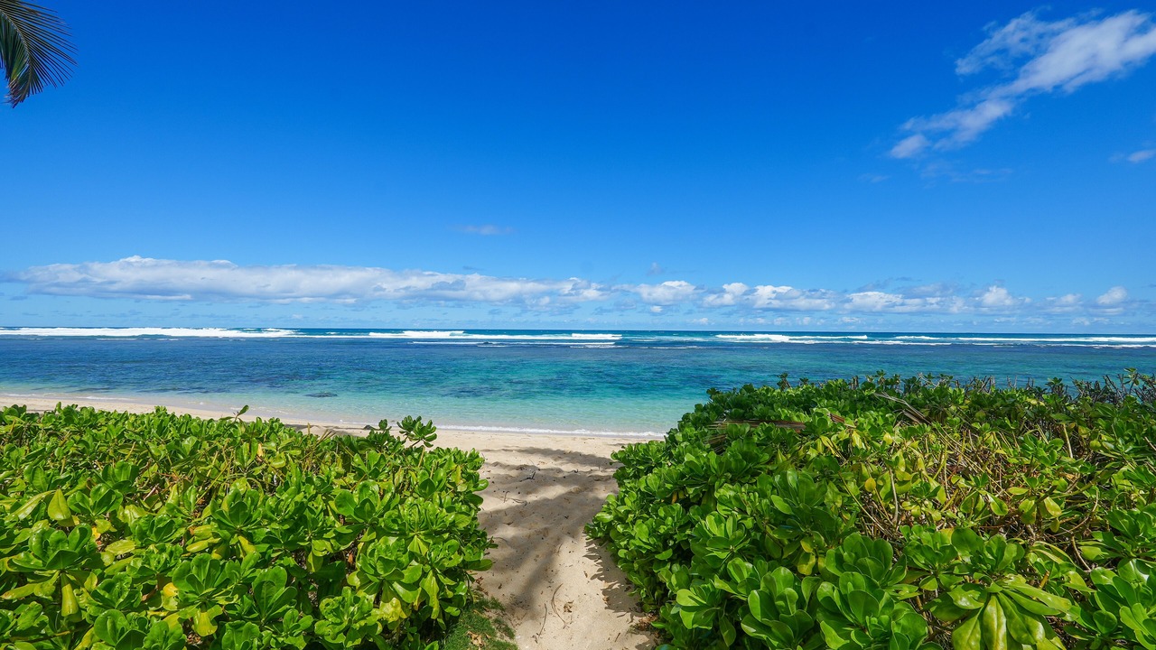Photo of Others in Mokuleia