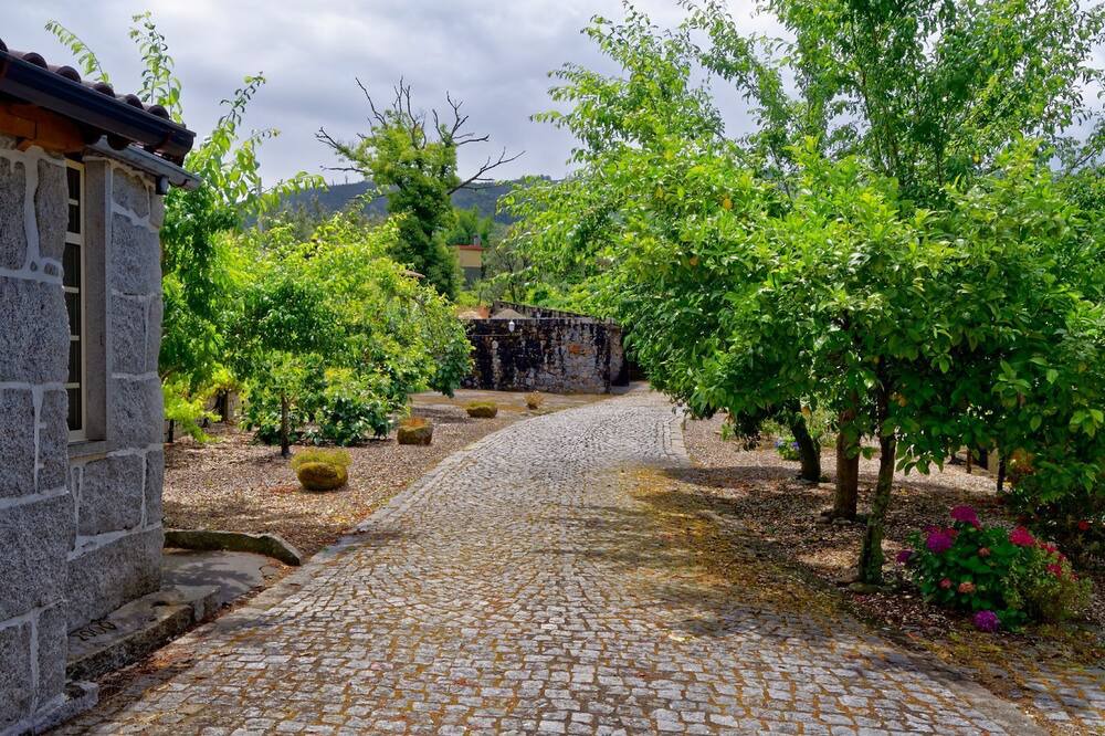 Photo of Outdoor in Oliveira de Frades
