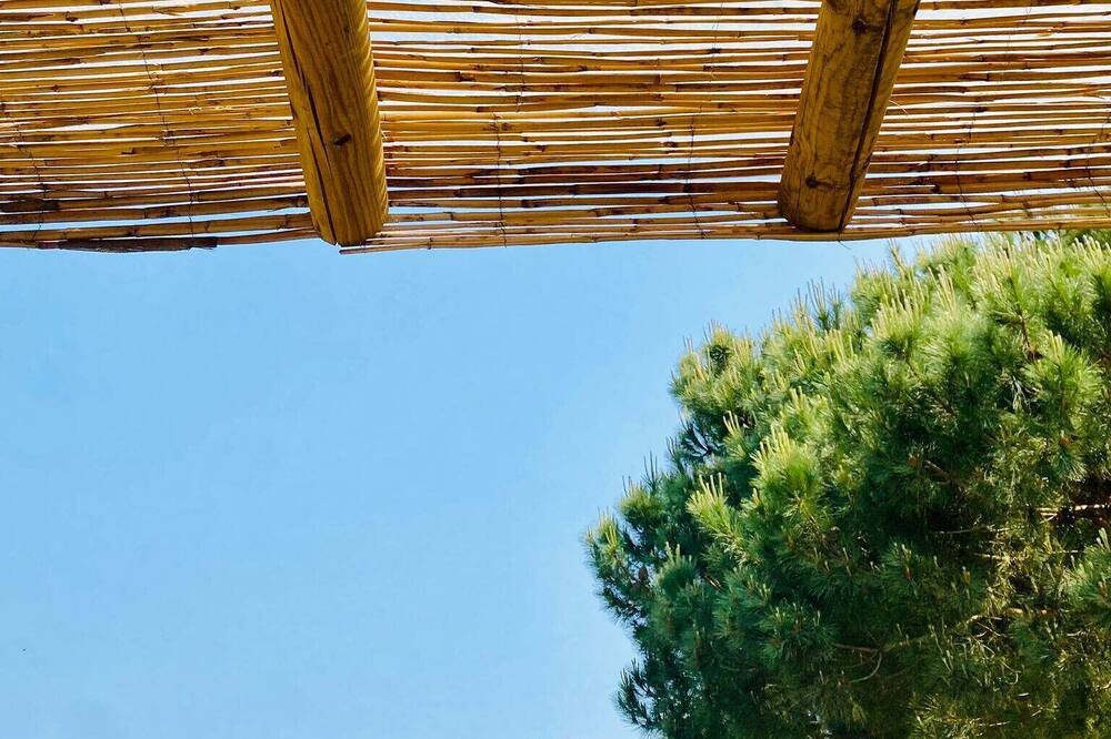 Photo of Outdoor in Carrascalinho