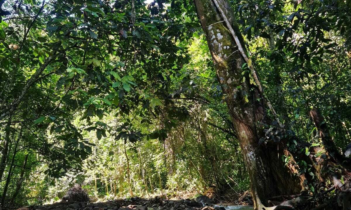 Photo of Outdoor in Ballena