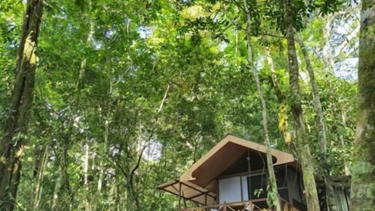 Photo of Patio Balcony in Ballena