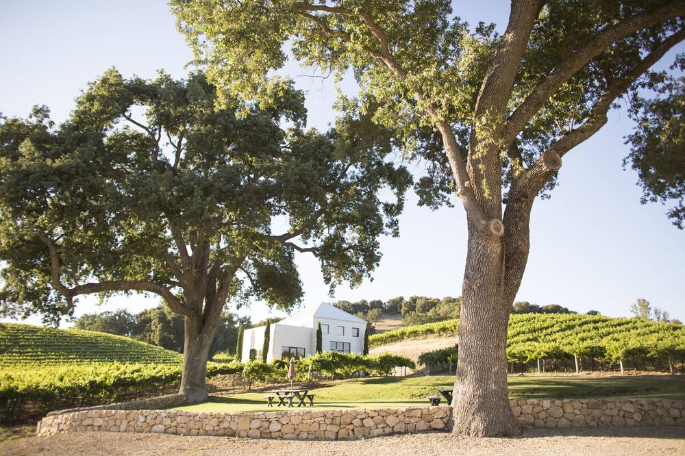 Photo of Outdoor in Paso Robles