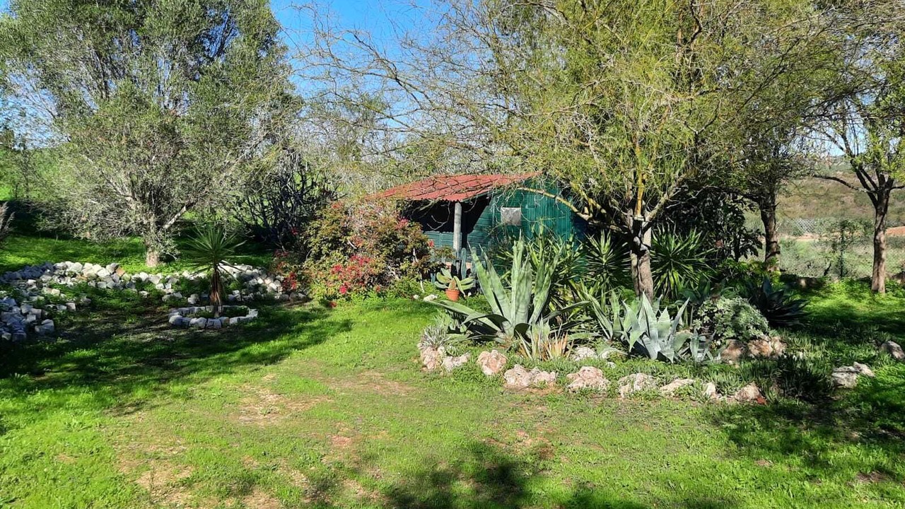 Photo of Outdoor in Picarral