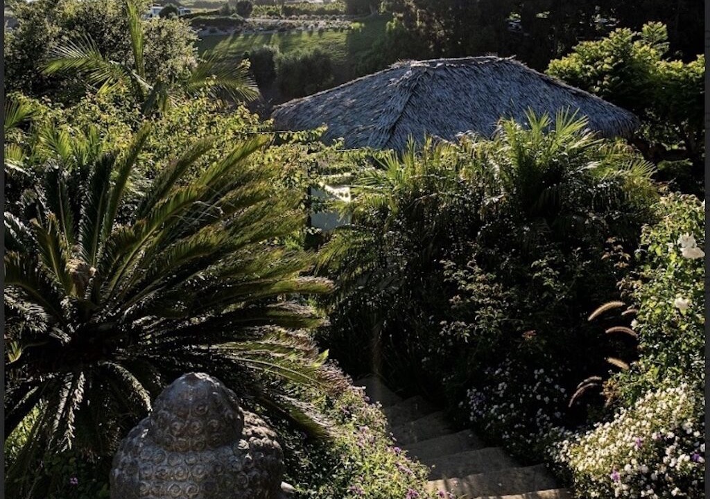 Photo of Others in Western Malibu