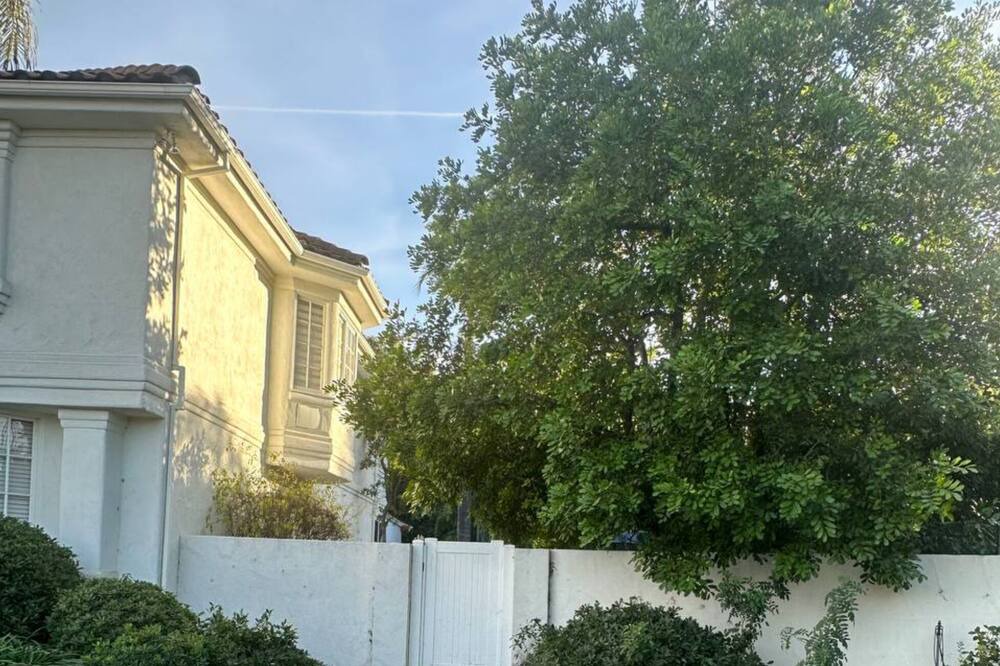 Photo of Outdoor in Calabasas
