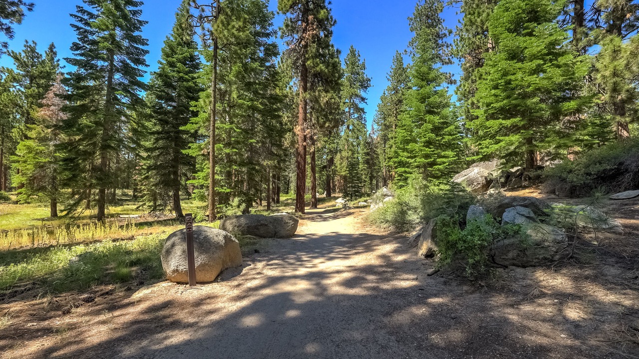 Photo of Outdoor in Lower Kingsbury