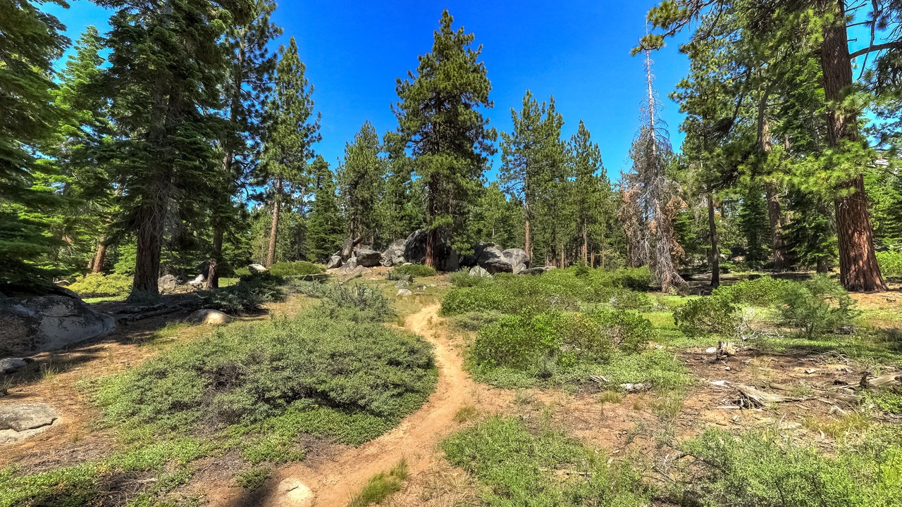 Photo of Outdoor in Lower Kingsbury