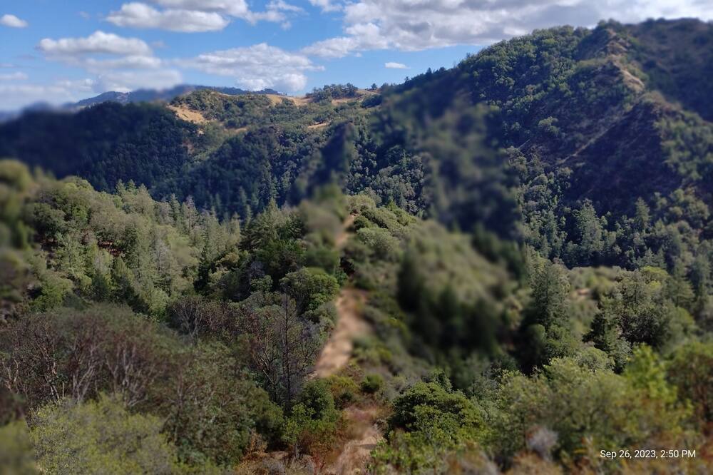 Photo of Outdoor in Cloverdale