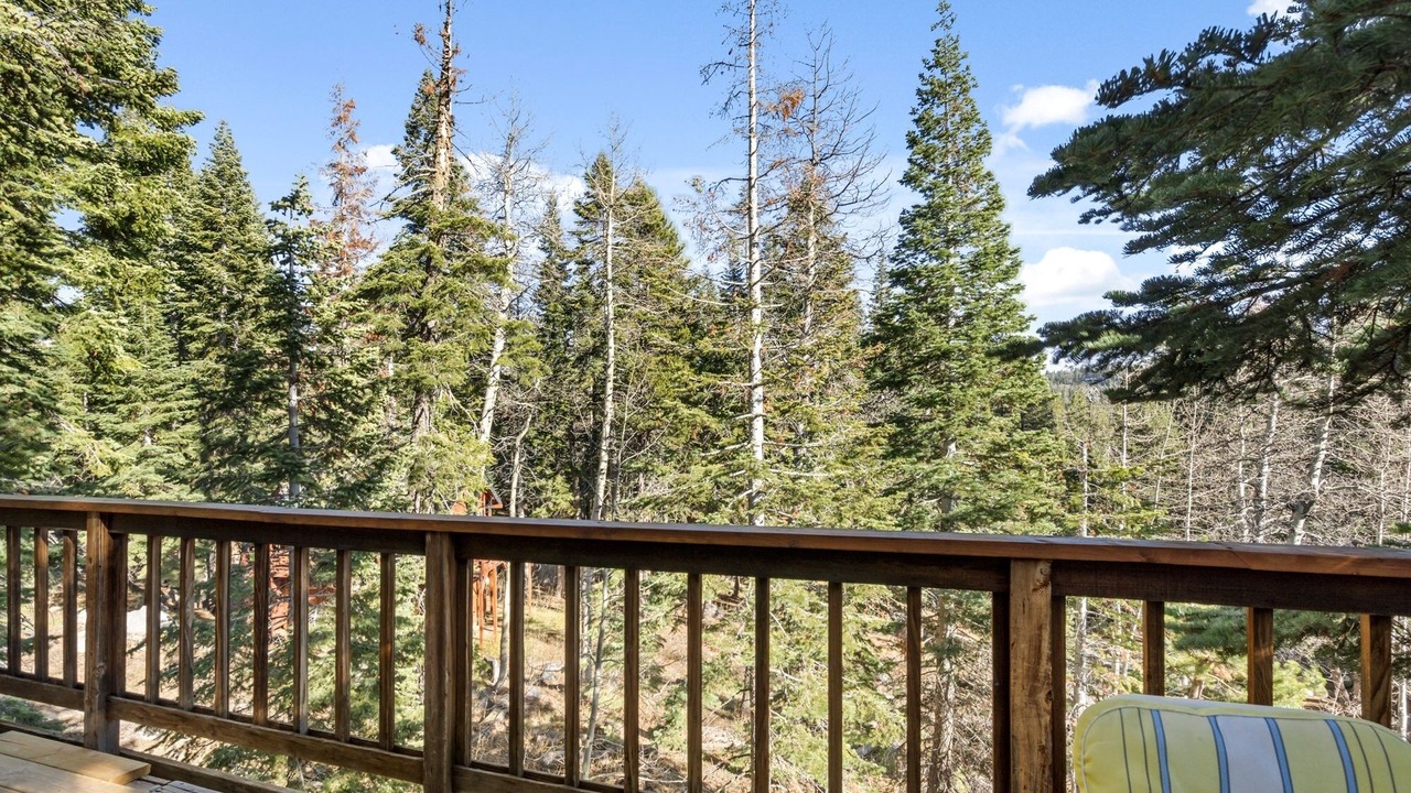 Photo of Outdoor in Bear Valley
