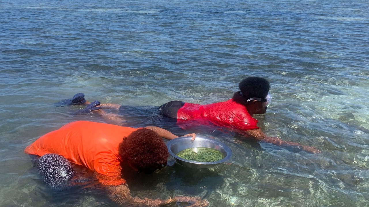 Photo of Outdoor in Naviti Island