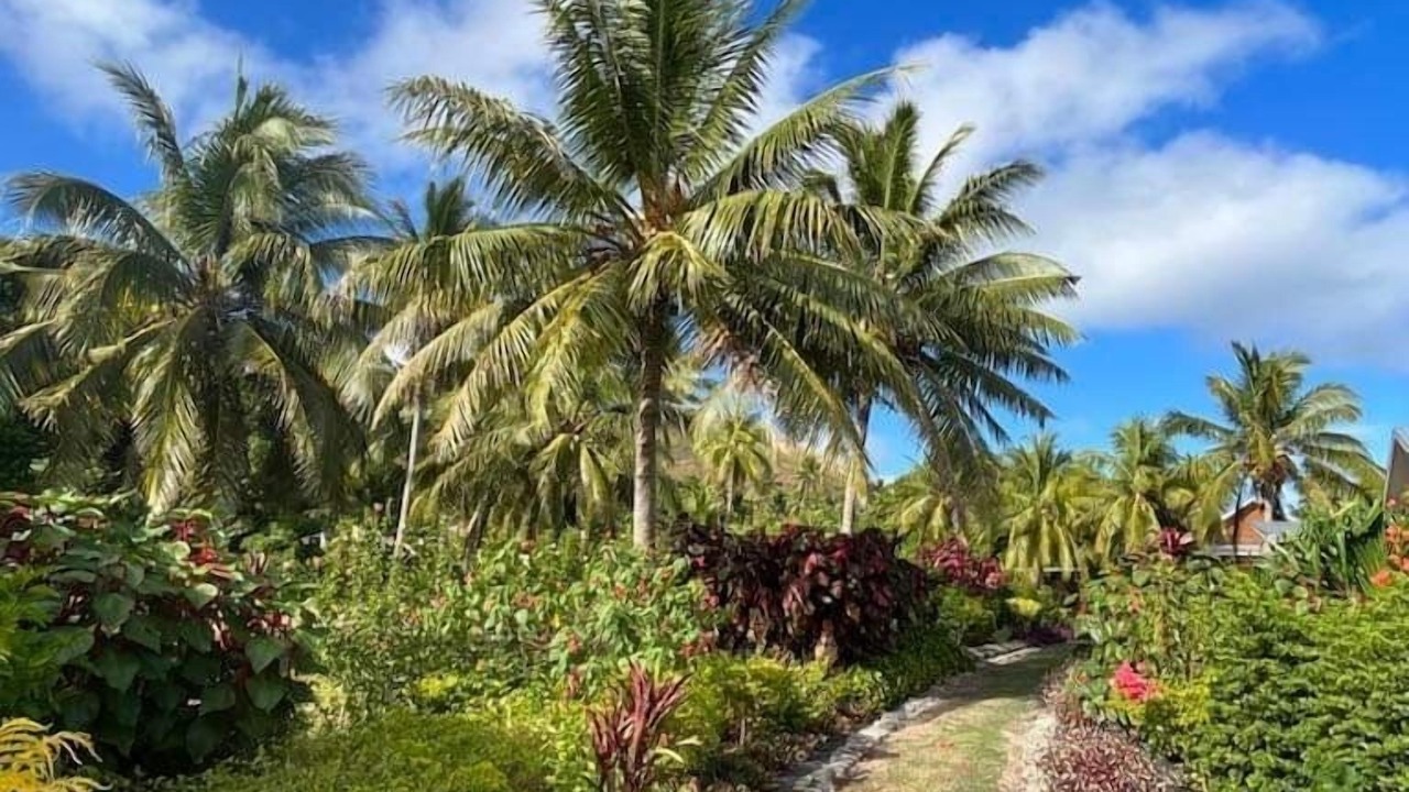 Photo of Outdoor in Naviti Island