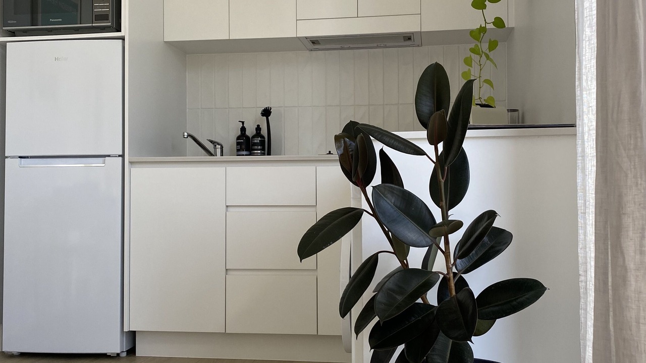 Photo of Kitchen in Burleigh Waters